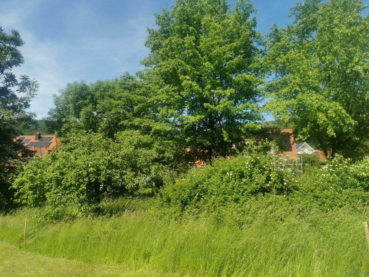 Grundstück 